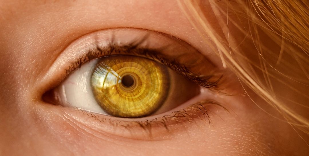 Natural Eye Care Solutions: Why Moist Heat Is a Game-Changer